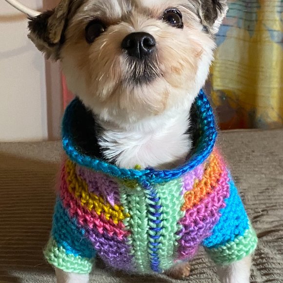 Small Dog Sweater, Toy Dog Clothes, Unique, Hand Knit One of a Kind, Colorful - Picture 13 of 16